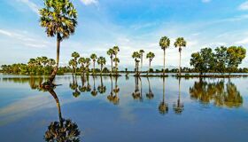 Begin your visa-extended day with Ho Chi Minh City’s tranquil ambiance